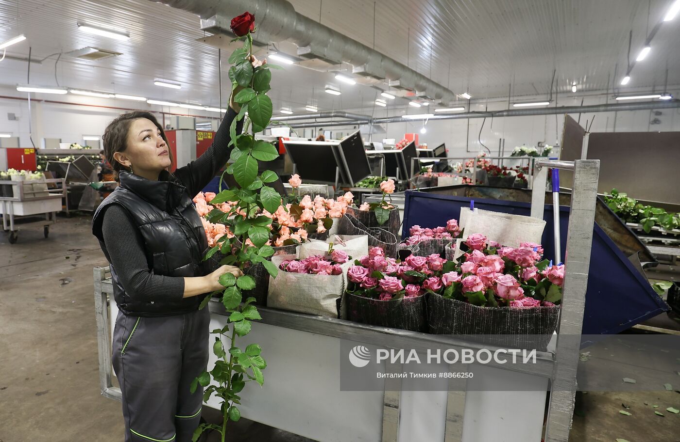 Цветы к 8 марта