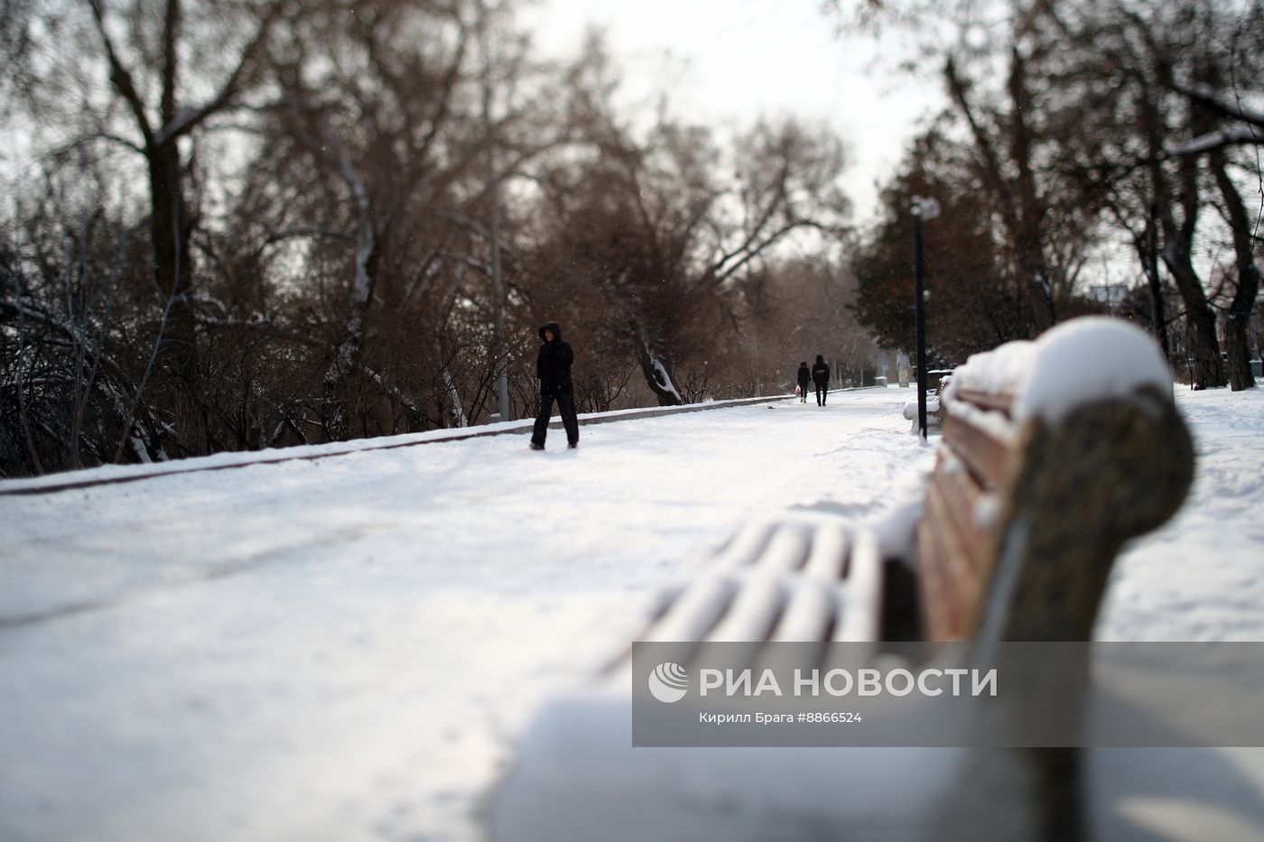 Снег в Волгограде