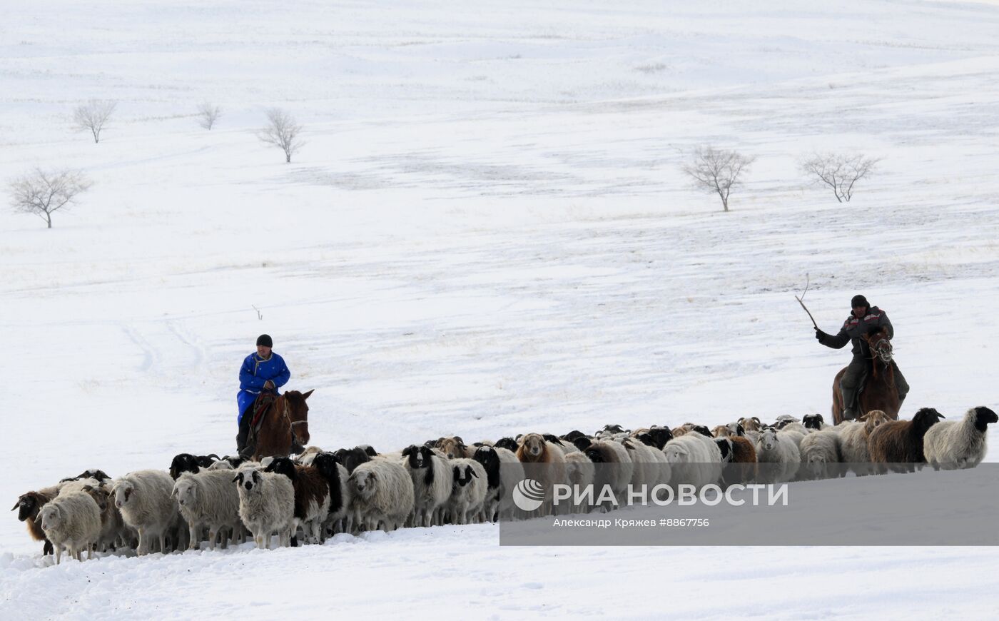 Празднование тувинского Нового года Шагаа
