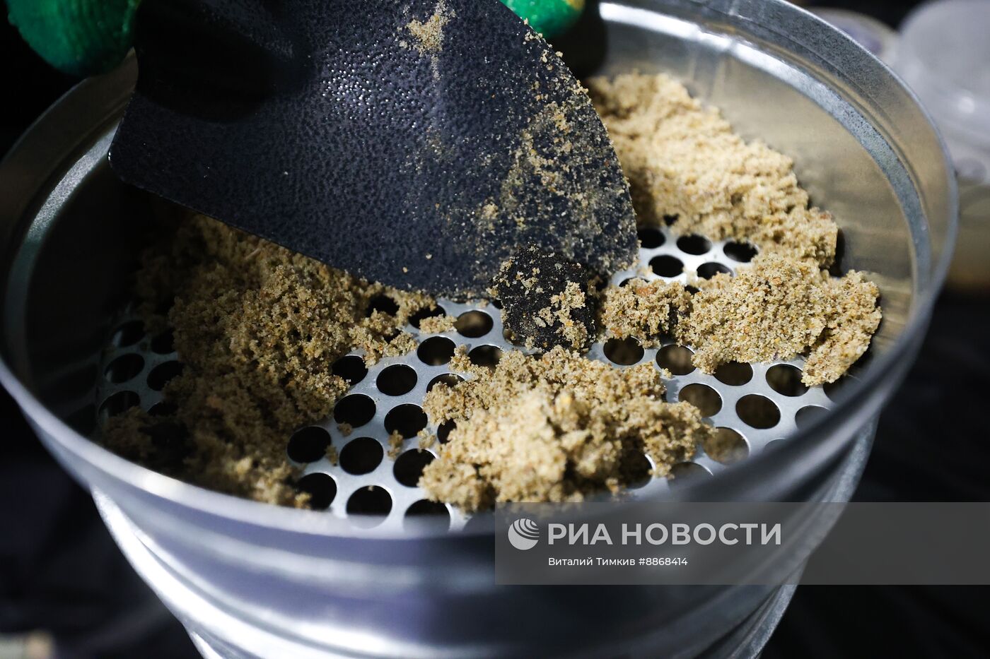 Научный штаб для отработки очистки берега от мазута в Анапе