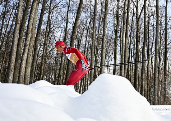 Лыжные гонки. Чемпионат России. Мужчины. Скиатлон