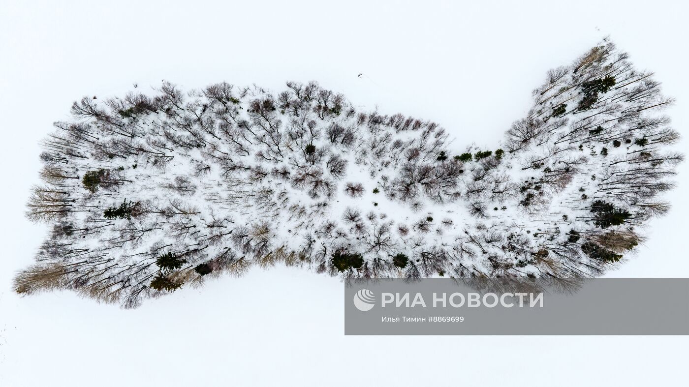 Национальный парк "Водлозерский" в Карелии зимой