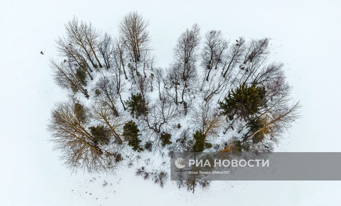 Национальный парк "Водлозерский" в Карелии зимой