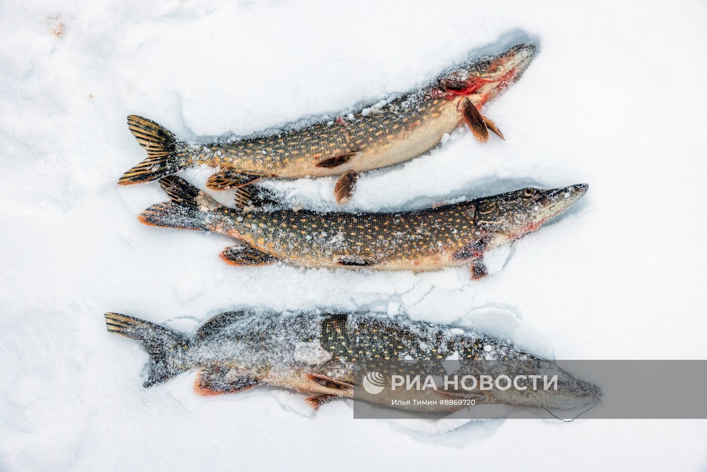 Национальный парк "Водлозерский" в Карелии зимой
