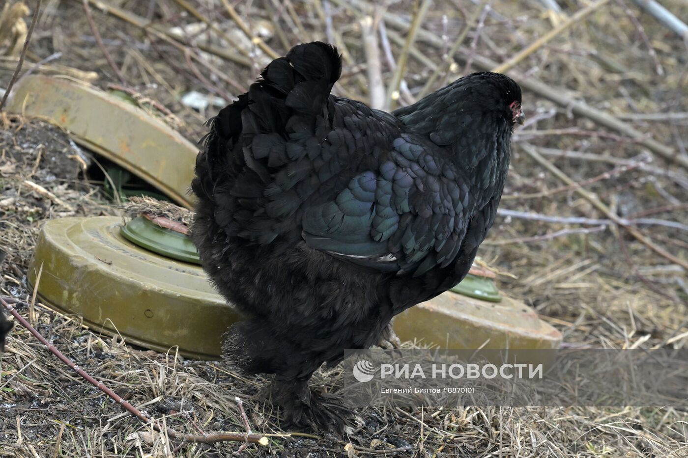 Войска группировки "Север" освободили село Погребки Суджанского района Курской области