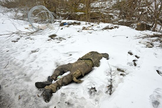 Войска группировки "Север" освободили село Погребки Суджанского района Курской области