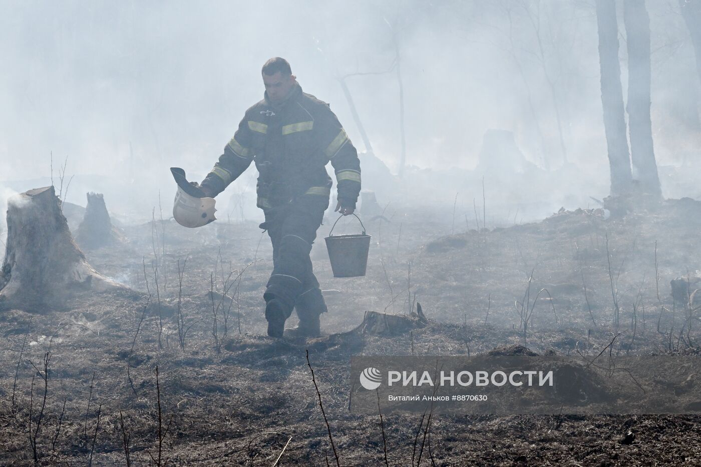 Последствия природных пожаров в Приморском крае