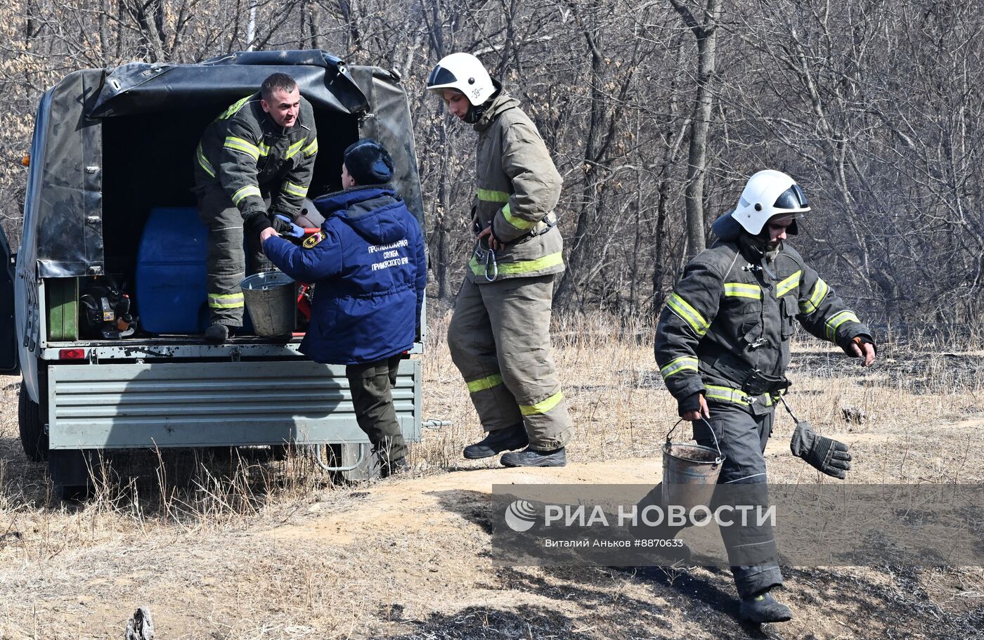 Последствия природных пожаров в Приморском крае