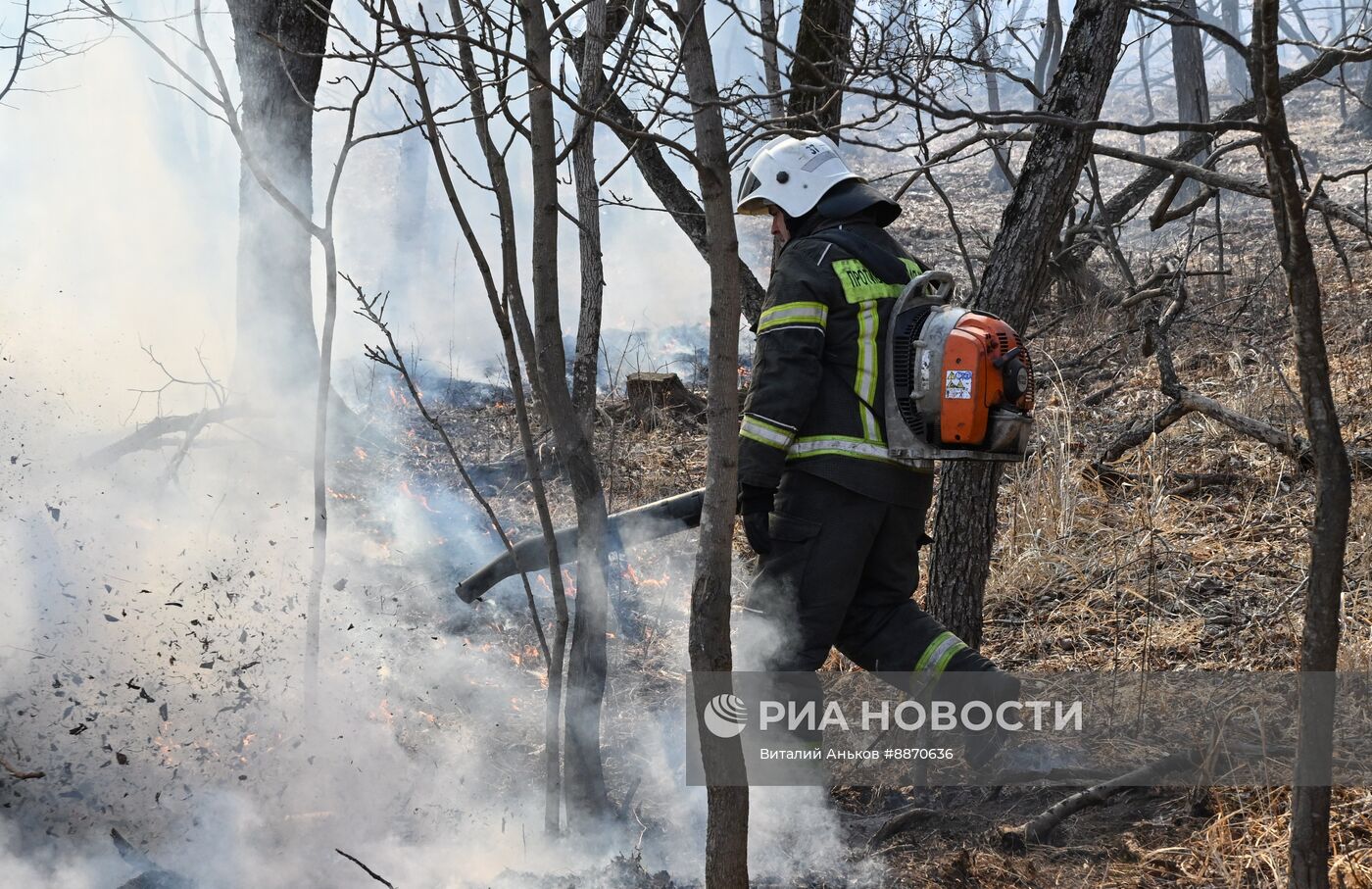 Последствия природных пожаров в Приморском крае