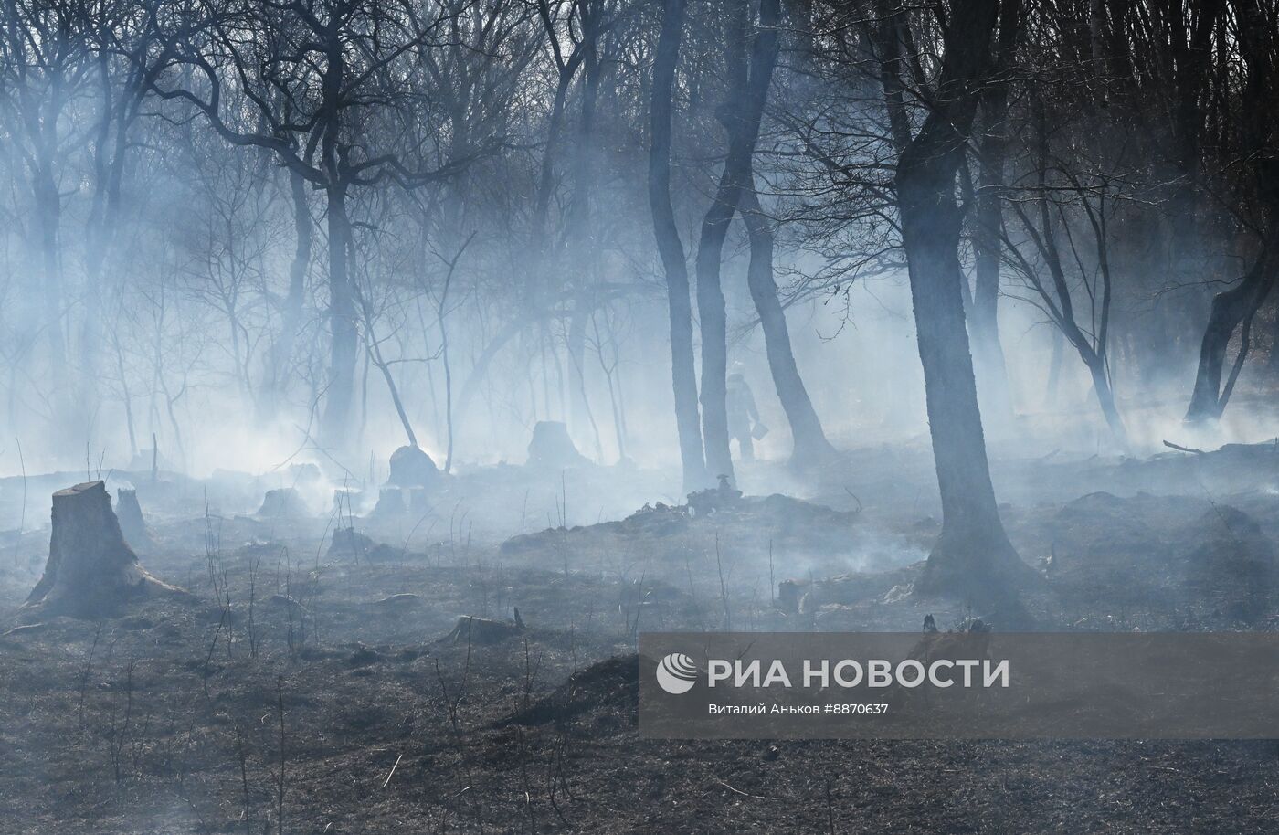 Последствия природных пожаров в Приморском крае