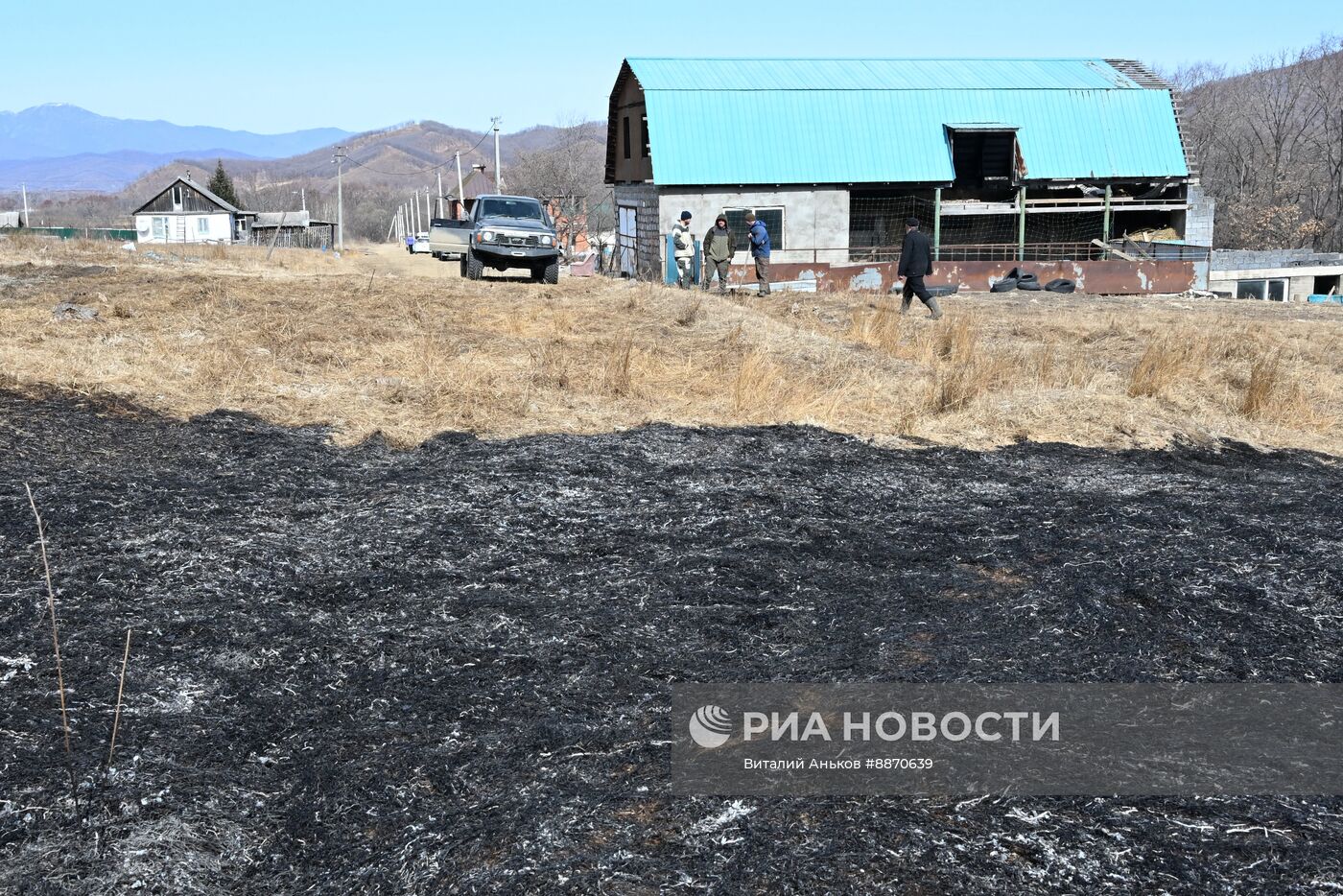 Последствия природных пожаров в Приморском крае