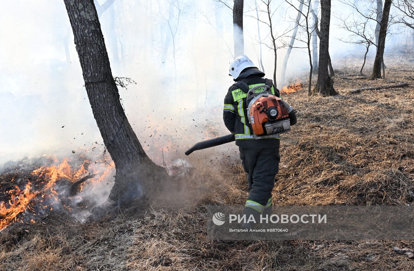 Последствия природных пожаров в Приморском крае