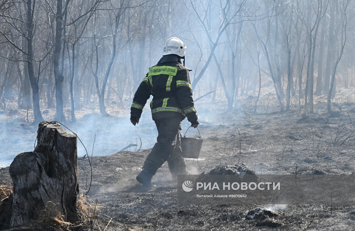 Последствия природных пожаров в Приморском крае