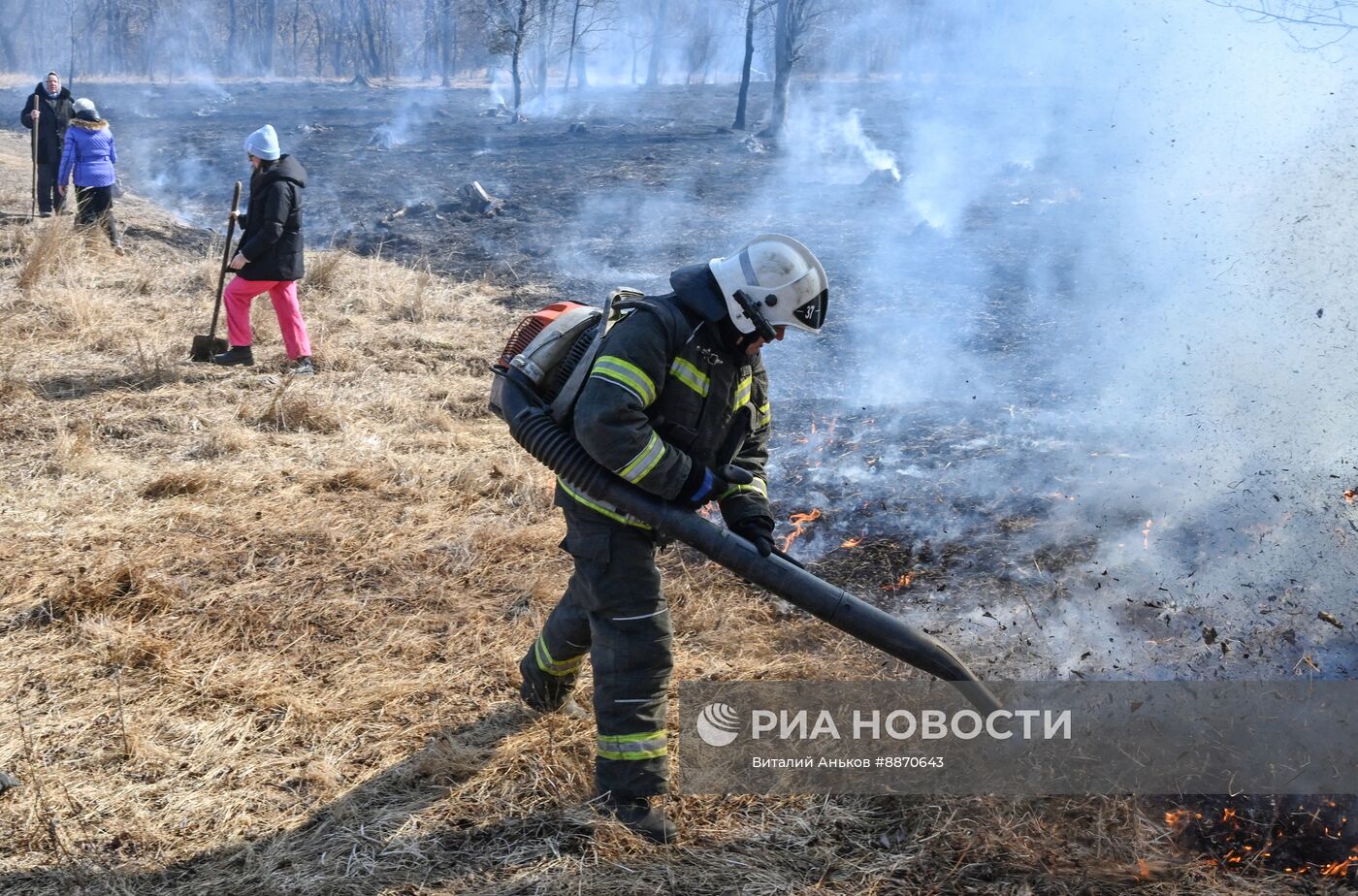 Последствия природных пожаров в Приморском крае