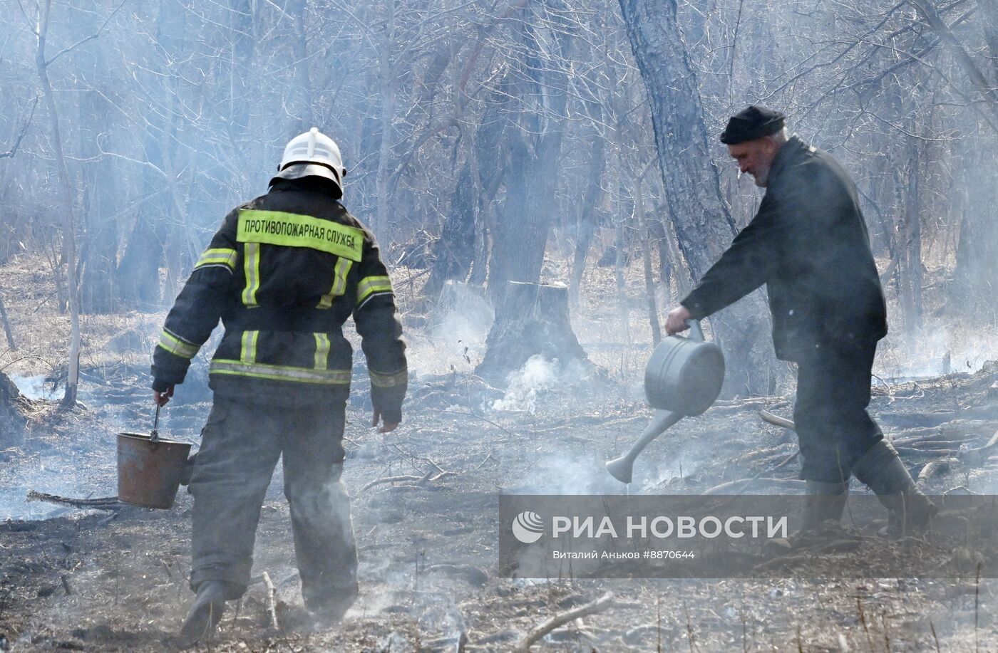 Последствия природных пожаров в Приморском крае