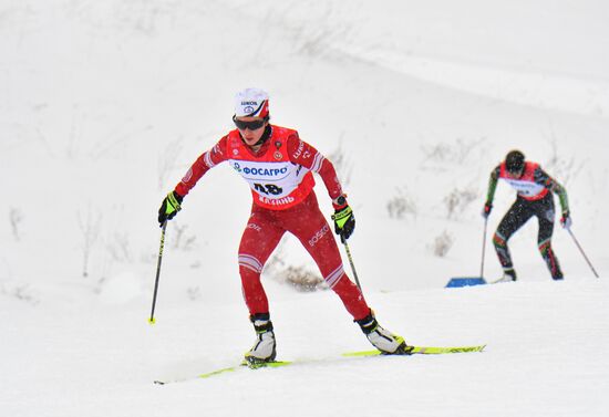 Лыжные гонки. Чемпионат России. Женщины. Свободный стиль