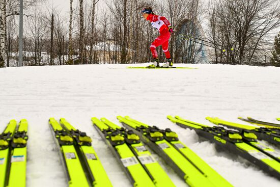 Лыжные гонки. Чемпионат России. Женщины. Свободный стиль