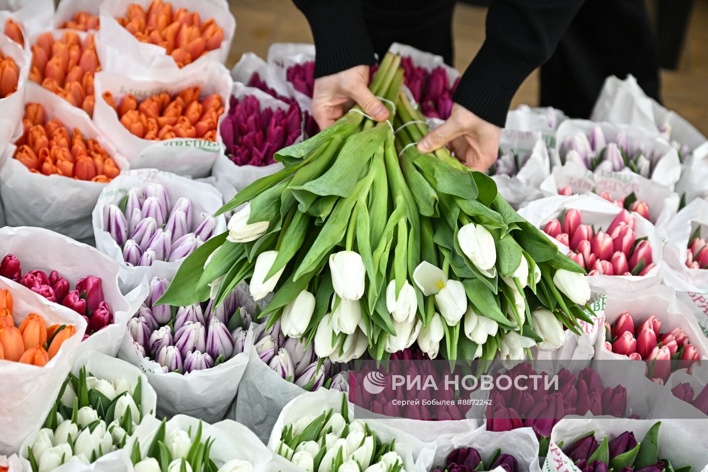 Выращивание и продажа цветов к Международному женскому дню