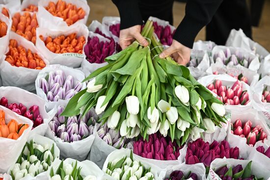 Выращивание и продажа цветов к Международному женскому дню