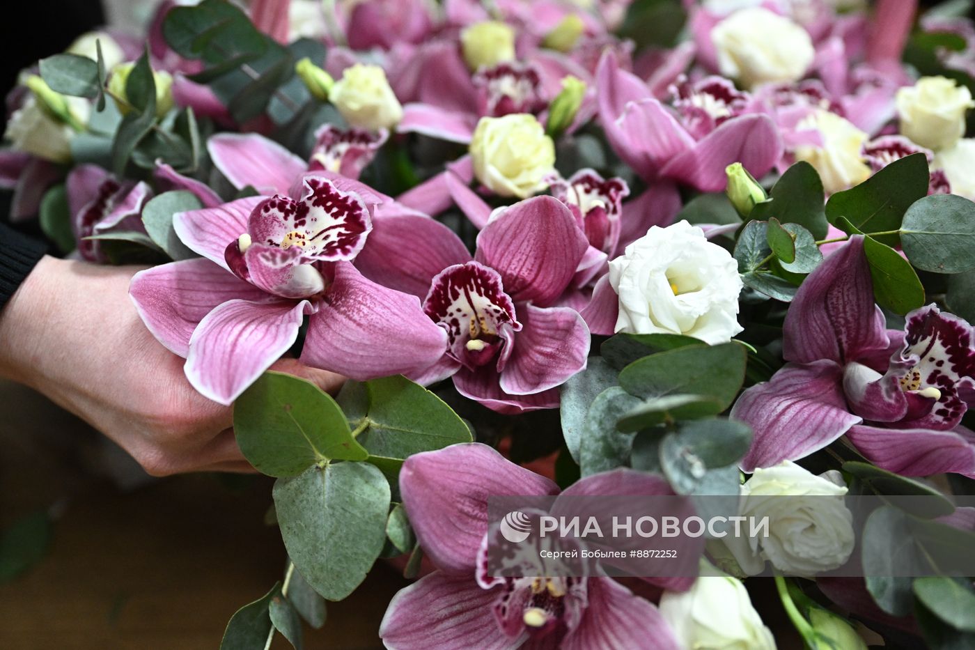 Выращивание и продажа цветов к Международному женскому дню