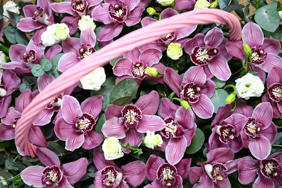 Выращивание и продажа цветов к Международному женскому дню