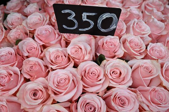 Выращивание и продажа цветов к Международному женскому дню