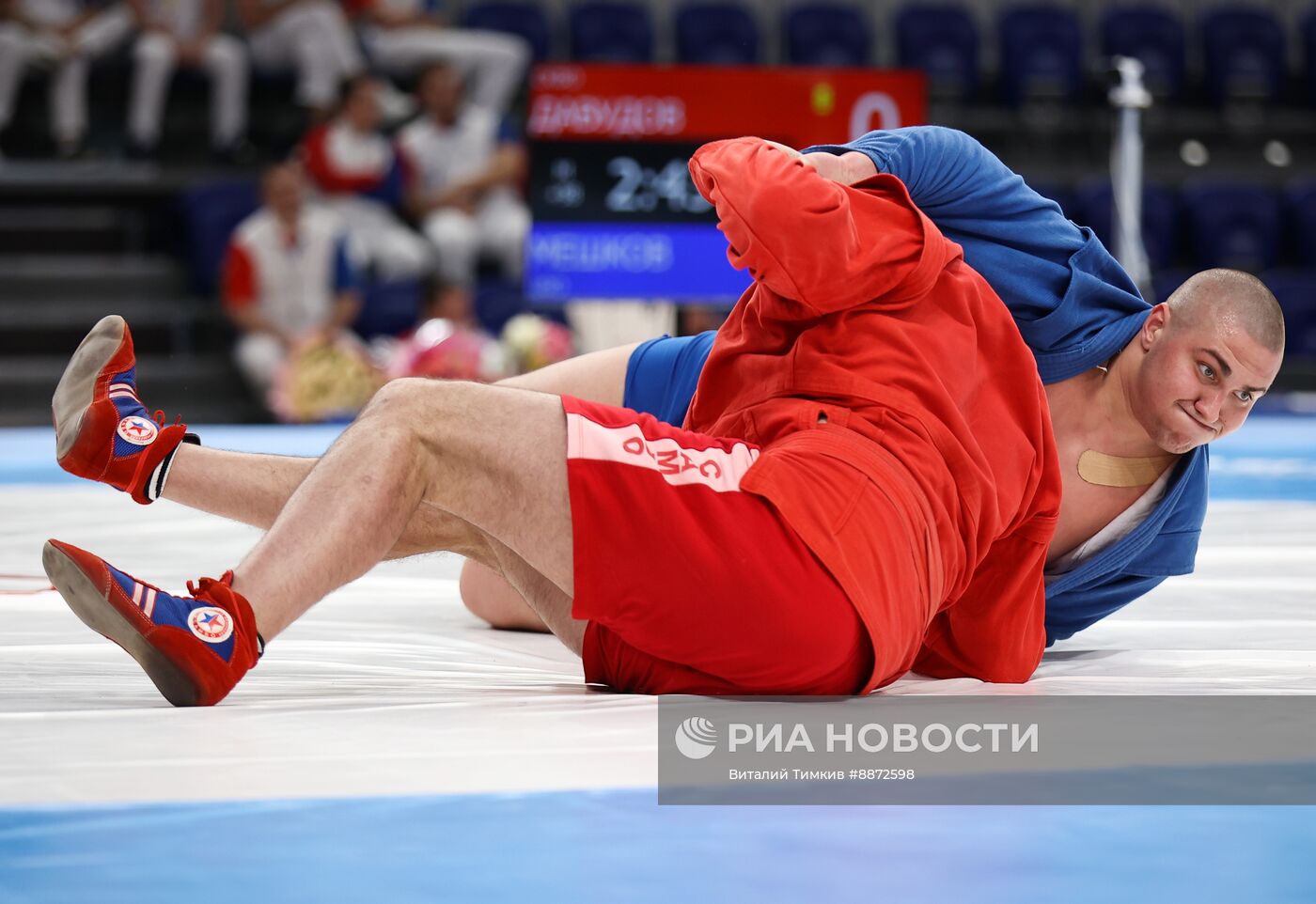 Чемпионат России 2025 по самбо