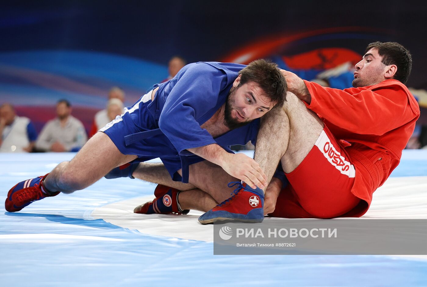 Чемпионат России 2025 по самбо