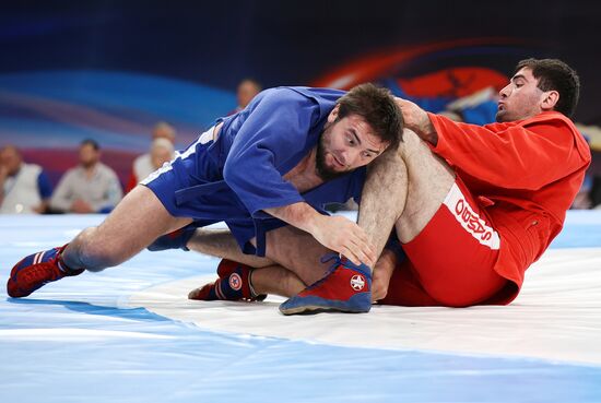 Чемпионат России 2025 по самбо