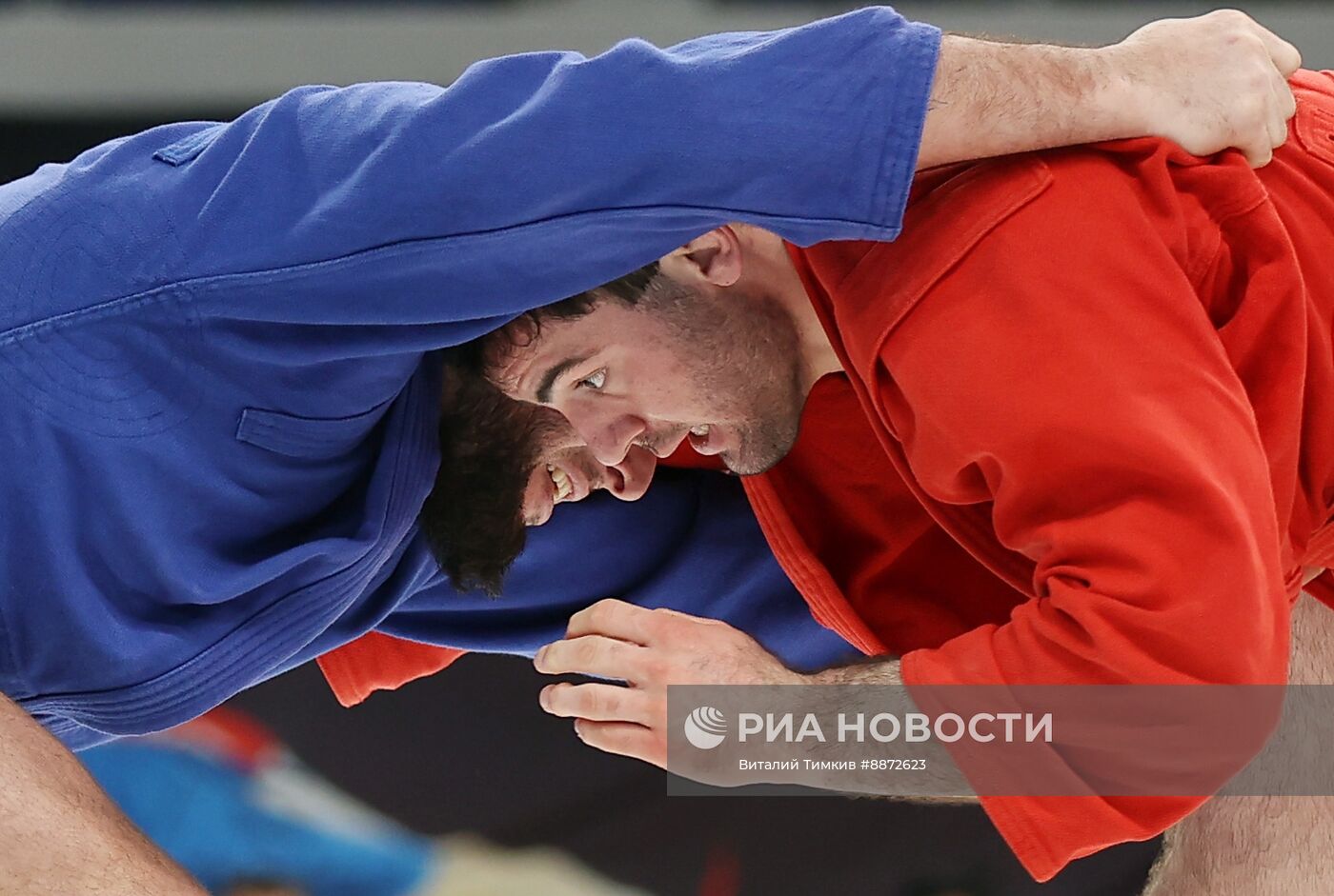 Чемпионат России 2025 по самбо