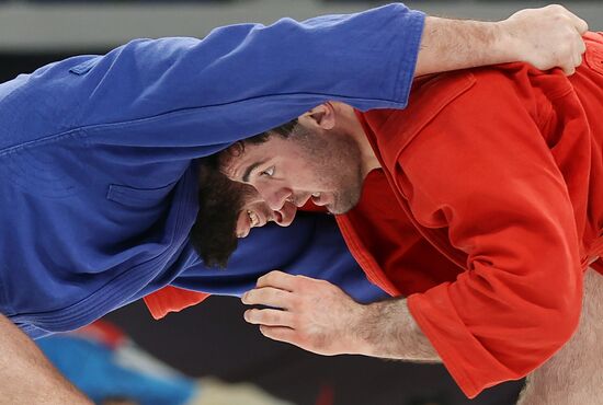 Чемпионат России 2025 по самбо