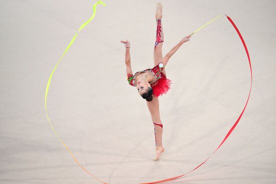 Гран-при по художественной гимнастике 