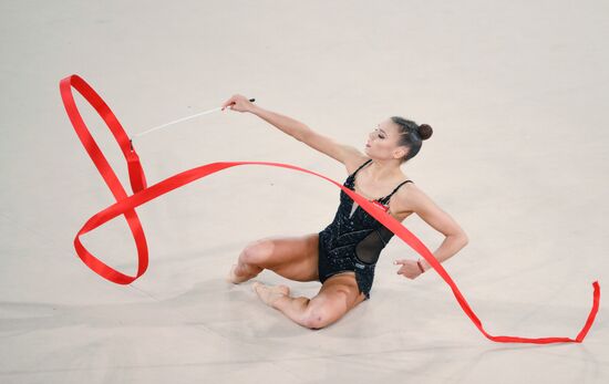 Гран-при по художественной гимнастике 