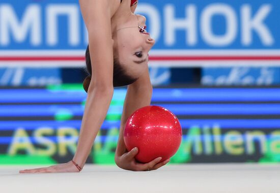 Гран-при по художественной гимнастике 