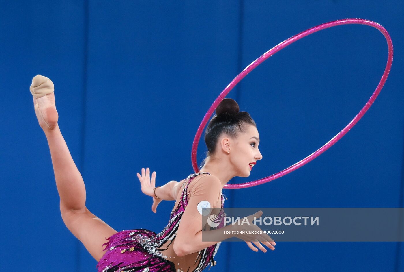 Гран-при по художественной гимнастике