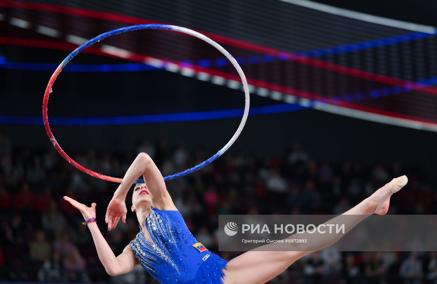 Гран-при по художественной гимнастике