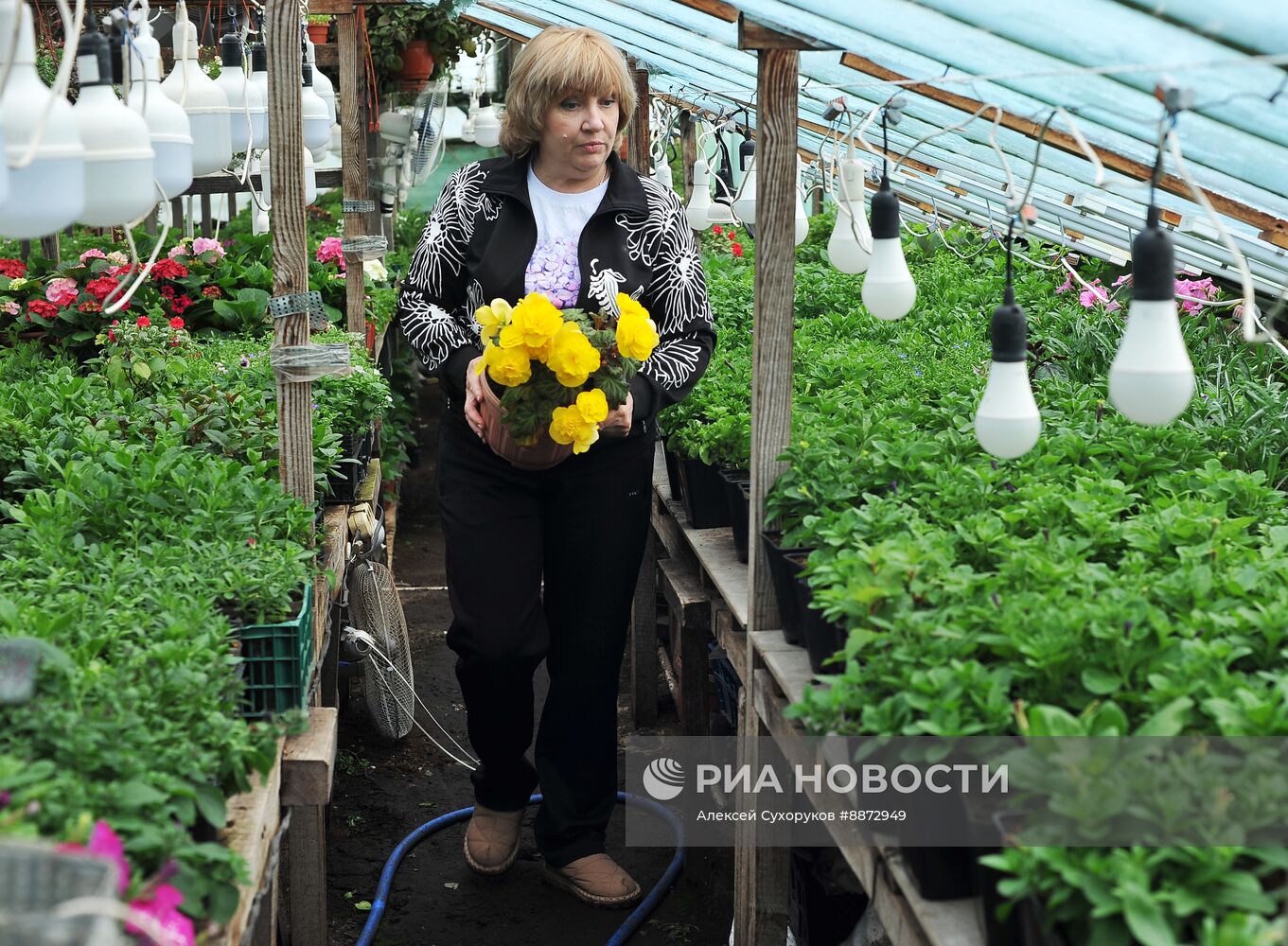 Выращивание и продажа цветов к Международному женскому дню