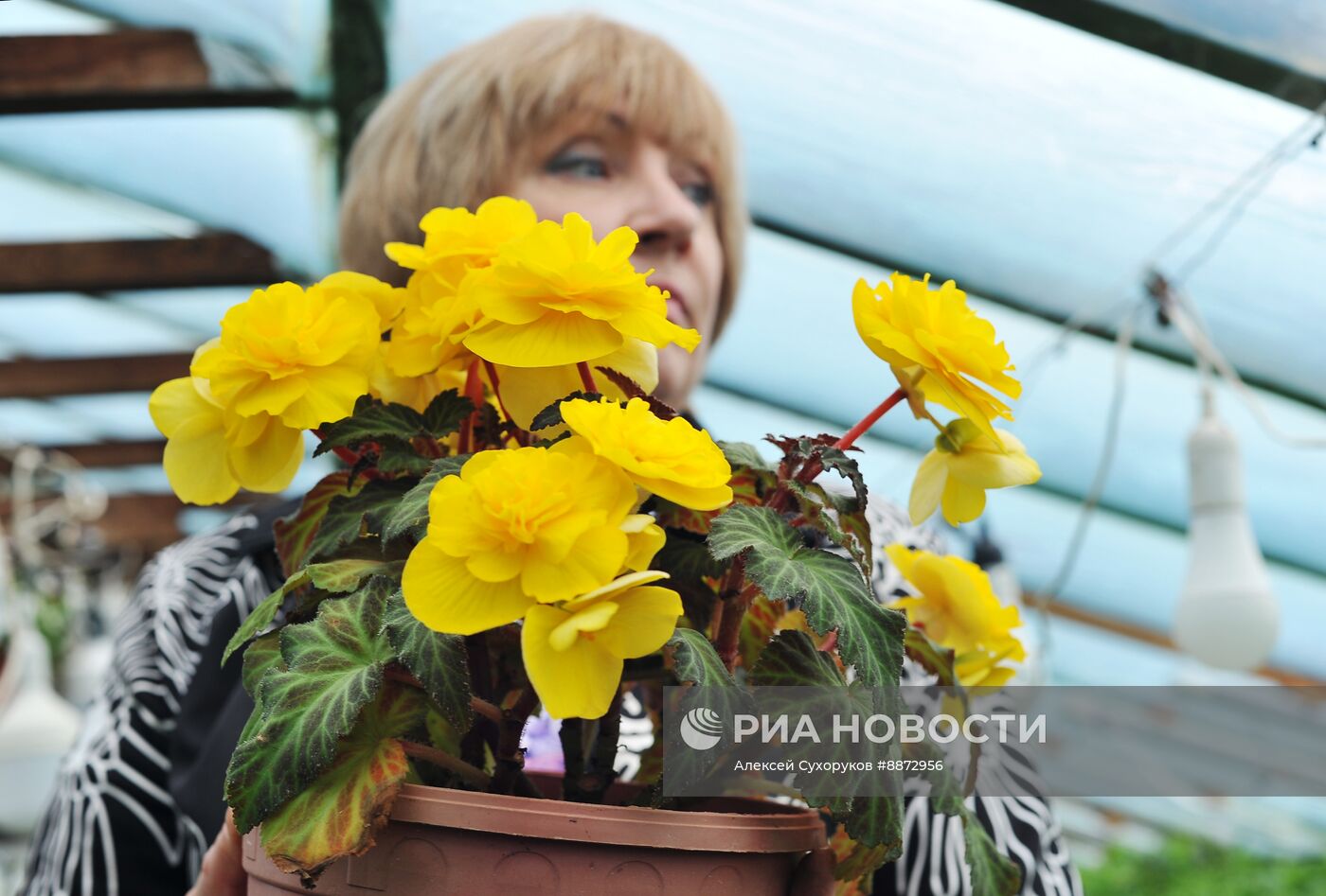 Выращивание и продажа цветов к Международному женскому дню