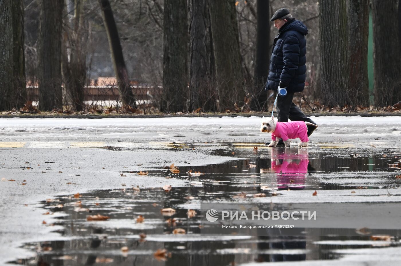 Парк "Сокольники" в Москве