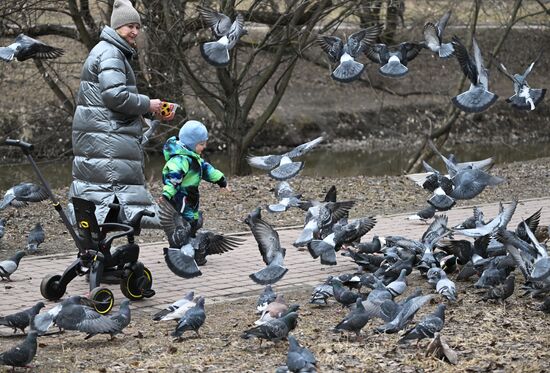 Весна в Москве