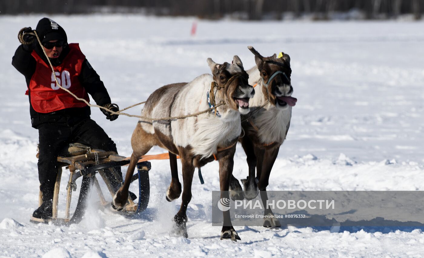 День оленевода в Забайкальском крае