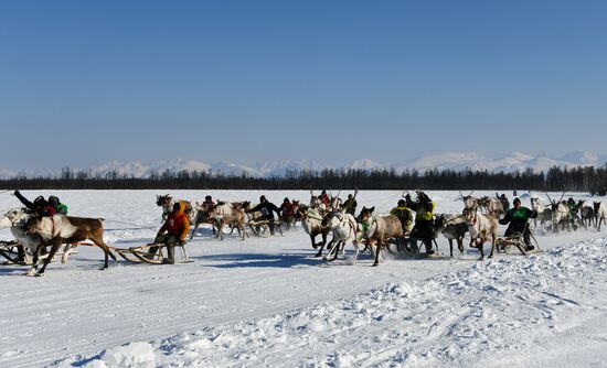 День оленевода в Забайкальском крае