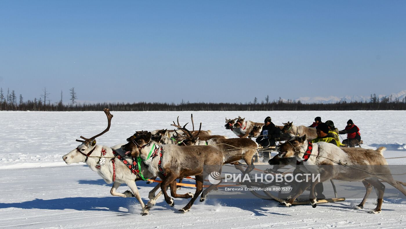 День оленевода в Забайкальском крае