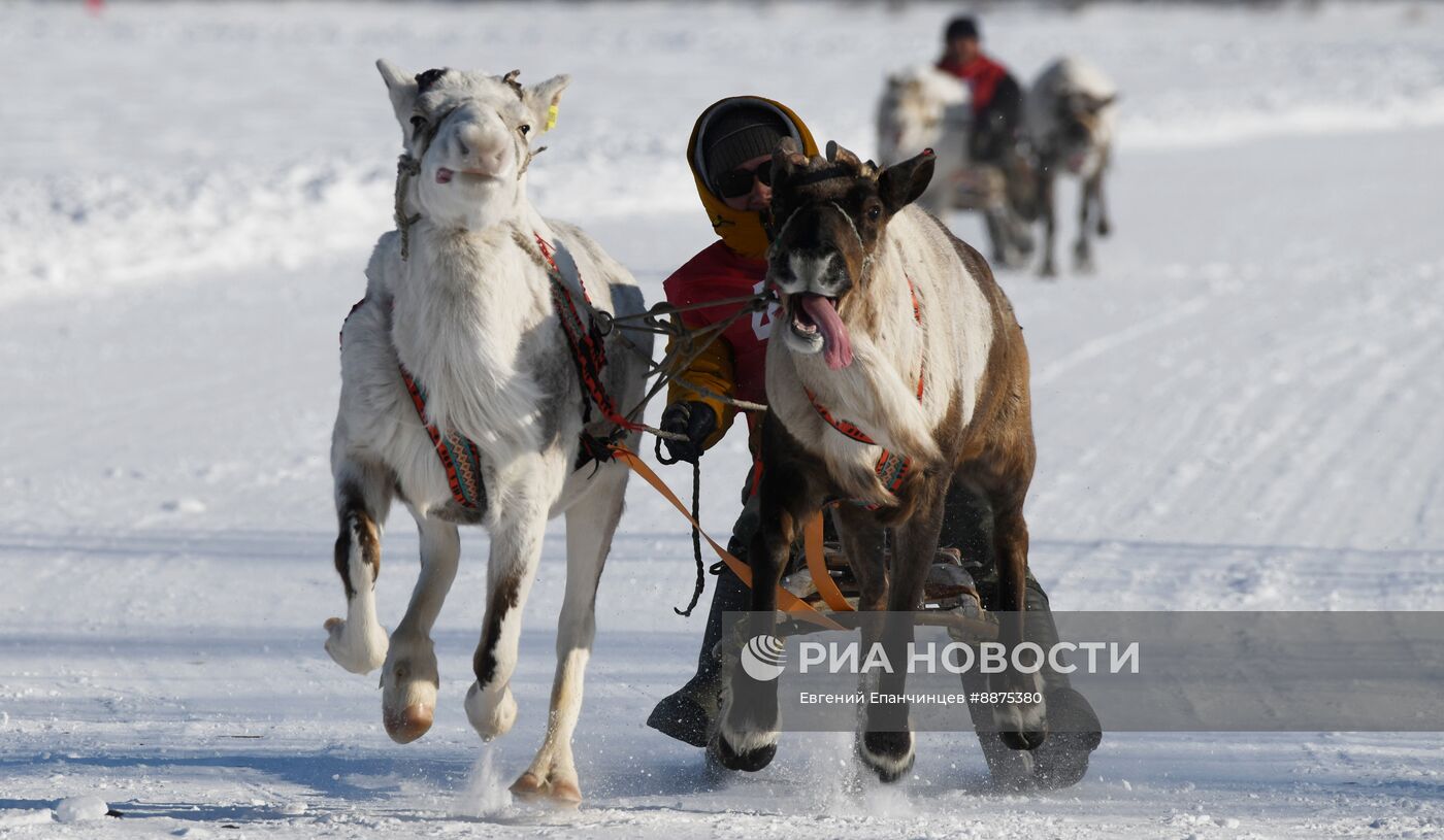 День оленевода в Забайкальском крае