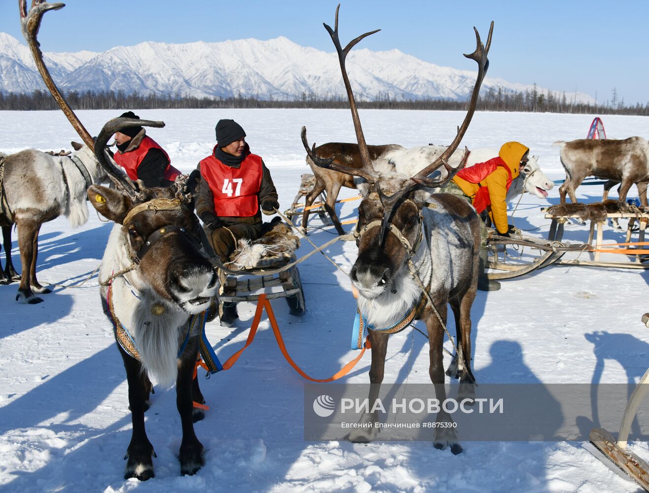 День оленевода в Забайкальском крае