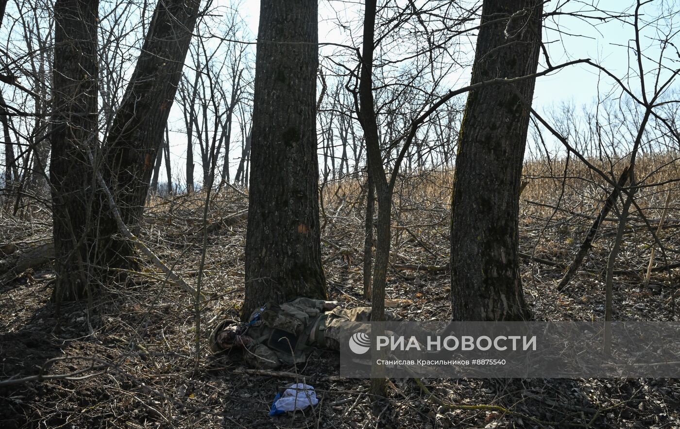 Освобожденные населенные пункты в Курской области