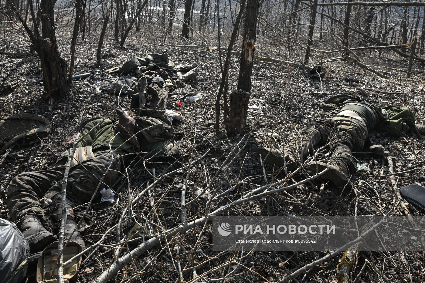 Освобожденные населенные пункты в Курской области