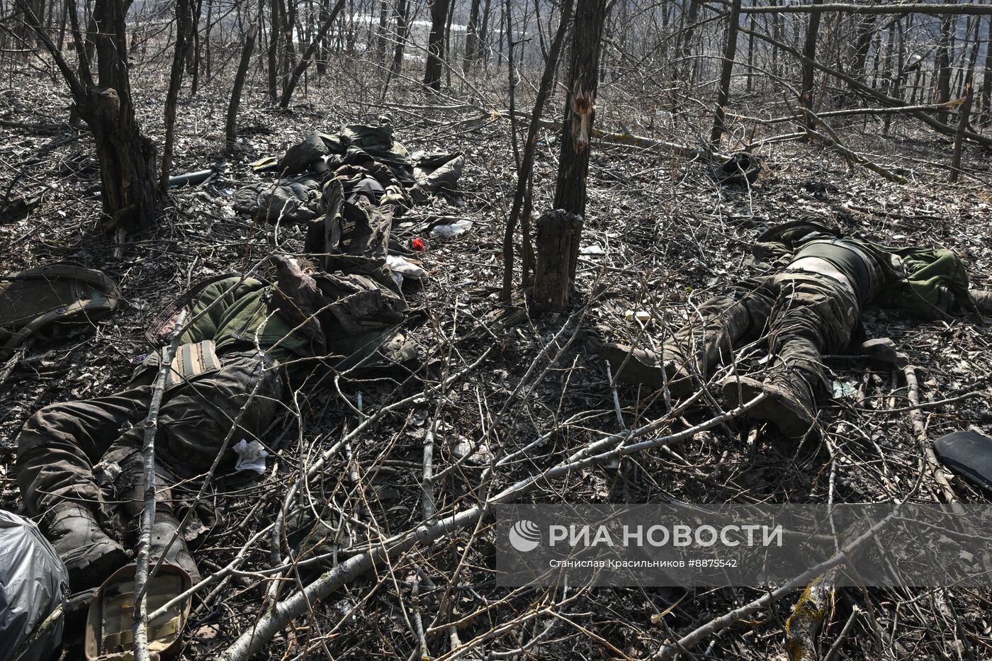 Освобожденные населенные пункты в Курской области