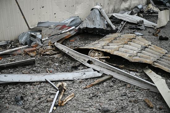 Освобожденное село Малая Локня в Суджанском районе Курской области