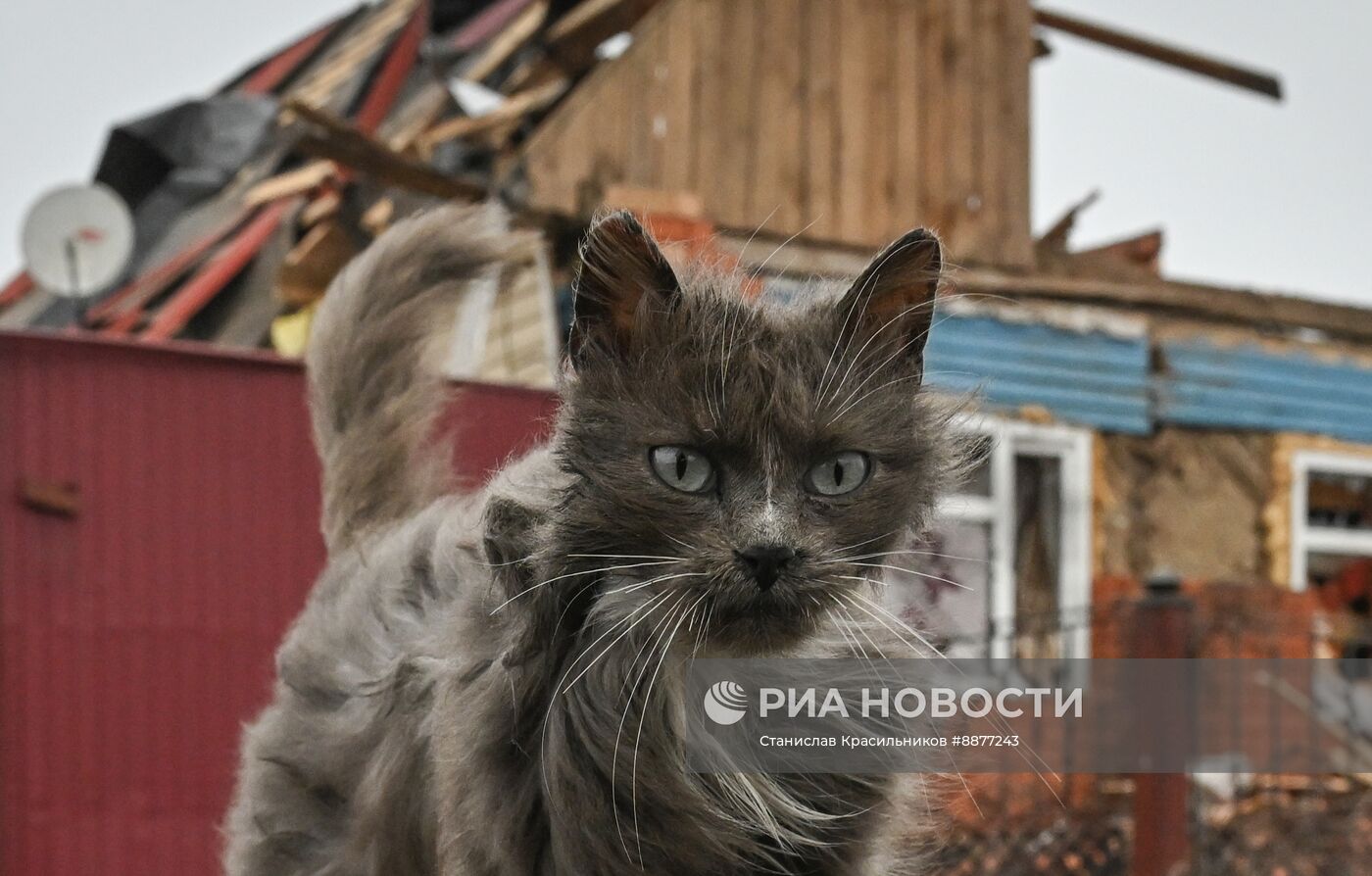 Освобожденные села в Курской области